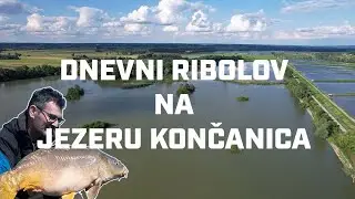 Šaranski ribolov na jezeru Končanica