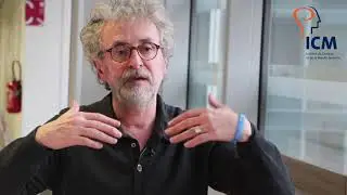 L&rsquo;anoxie c&eacute;r&eacute;brale et la r&eacute;animation du cerveau vues en temps r&eacute;el depuis l&rsquo;int&eacute;rieur des neurones