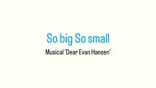 [미완] 뮤지컬 ‘Dear Evan Hansen’ So big So small