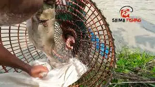 Unbelievable The World Best Fishing Video You Must Be Enjoy || Saima Fishing