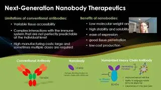 Platform for Discovery, Design, and Engineering of Antibody Therapeutics for Emerging Viruses
