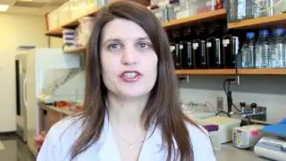 Lab Lingo: How do you say Recombinant adeno-associated virus?