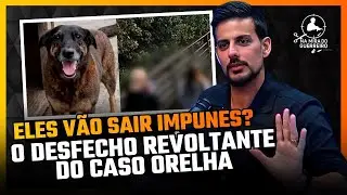Delegado abre o jogo e explica se agressores do cão orelha serão punidos pela lei | #cortes