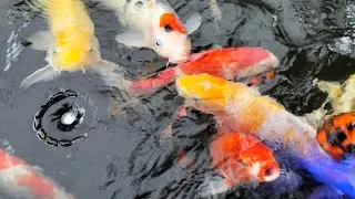 santai sejenak