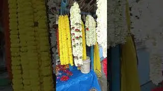 West Bengal Flower Shop🌹#flowers #flowershop #trending #viralvideo