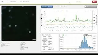 EyePASS real time particle size image analysis (8hours in 2min)