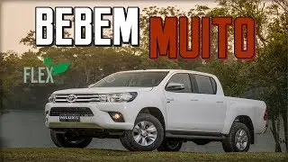 06 PICAPES FLEX QUE MAIS BEBEM | KMBR