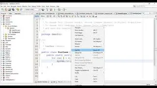 estructura for de java - continue y break