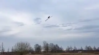 trex700 flight new settings