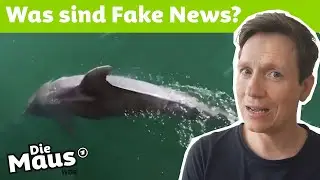 Fake News erkennen| Mausblick | DieMaus | WDR