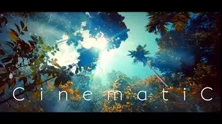 Sometimes, Nature is all you need | Cinematic nature B-roll | Fluttering leaves