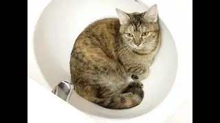20150216 202657