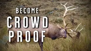Archery Elk Hunting Pressured Units | DIY Public Land Hunting Tips