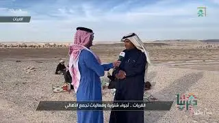 مراسل قناة السعودية نايف الفندي عبر برنامج ديرتنا يستعرض أجواء وفعاليات أهالي محافظة القريات