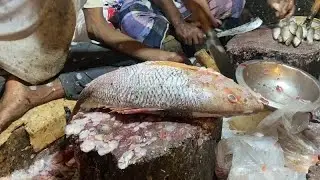 Gaint Big Red Coral Fish Cleaning & Cutting। Fish Cutting video।