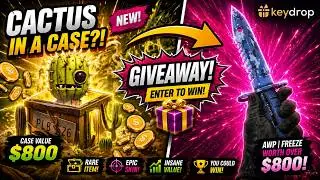 EVERYTHING I WIN I GIVE AWAY ON KEYDROP!! Best Case Battle & Promo code KeyDrop Bonus Profit BETZY