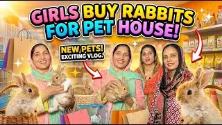 Hamary Pet House Mein Pehle Mehman Aa Gaye