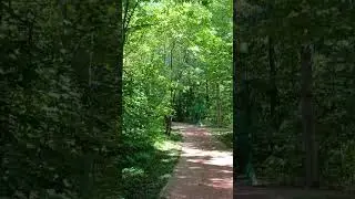 Welcome Week 2023 - a walk in the woods