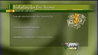 Budgeting for a one-income household