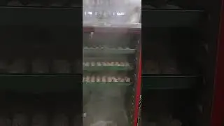 Mesin Kukus Kabinet/ Steamer Gas 12 Tingkat