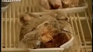 What Socialism Looks Like.  A 1980s Soviet Grocery Store