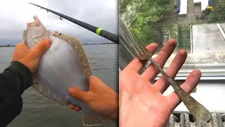 Vlogging with Bob 9 - NYC Fishing 2020 , Summer Fluke, Rare Fork find (Possible WWII)