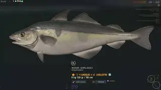 Fisher Online - Rescue of Chelyuskin - Troph&eacute;e Aiglefin (Haddock)