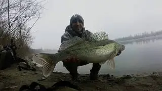 Spinnng alla ricerca del luccio Perca - zander-