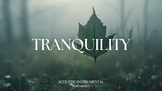 TRANQUILITY  - Relaxing Guitar for Stress Relief, work and study | REMEMBERED