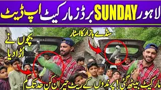Lahore sunday bird market New update  #lahorientertainmentchannel #birds #birdsmarket #parrot #pets