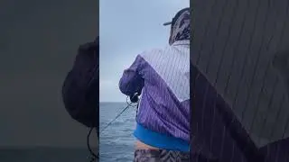 Exciting fishing action live on the spot! Experience real catches and tips from the water 🎣🌊