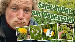 Salat-Buffet am Wegesrand - Essbare Wildpflanzen #natur #nature #botanik