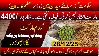 wheat new rate today | wheat punjab & sindh position | wheat distribution in pakistan | Guar market