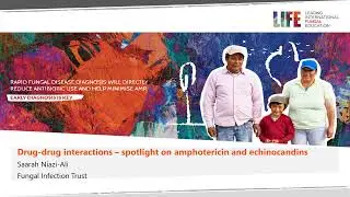 Drug/drug interactions - amphotericin and echinocandins