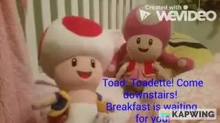 Toadette's Nightmare About A Whirlwind