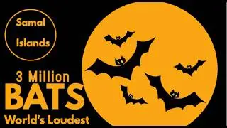 The World's Largest Bat Cave Experience I Samal Islands🐾🦇🌌