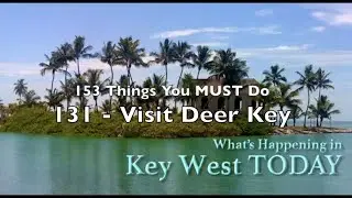 Best Things to Do in Key West 131: VISIT DEER KEY
