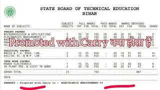 Diploma Result, Carry, Promoted aur Fail kya hota hain