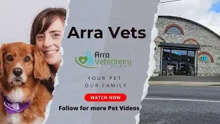 &ldquo;Keeping Pets Calm at the Vet | Arra Vets Fear Free Care&rdquo;