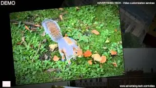 Video customization - Animoto Infinite Collage