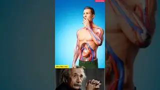 What If You Smoke Weed Everyday For 30 days #trendingshorts #facts #ytshorts #science #viralvideo