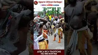 Africa Tradotion: Ugep war dance (Obam)