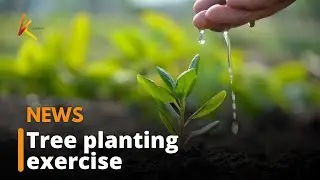 Fifteen billion trees campaign kicks off