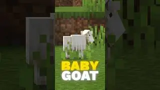 Every Baby Mob Secrets In Minecraft