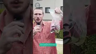 Can I be arrested for vaping in NSW now?