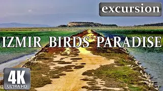 İzmir Birds Paradise | 4K - HDR  60 fps | Walking tour