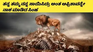 KALI The FEARLESS Lion SHOCKING True Story? @deepinuniverse