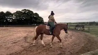 Lyndsey Smith & Keenelyside Geronimo