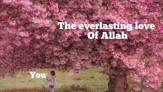Allah loves you!!(a truly divine sign).