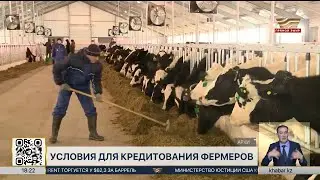 Как получить льготный кредит для откормочных площадок под 5% от АКК?